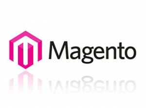 Magento Ecommerce Devolpers