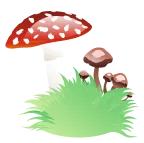 Other Image