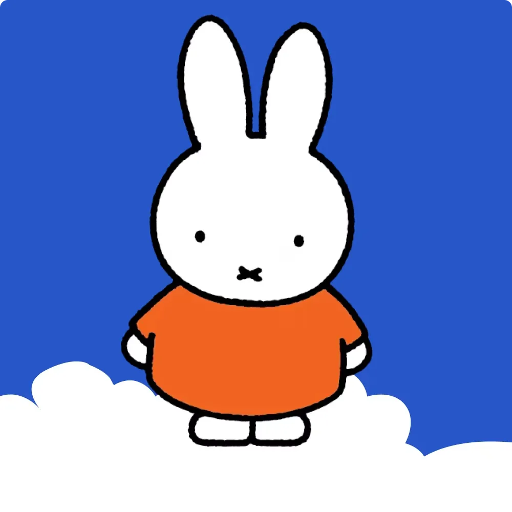 SEO for miffy shop