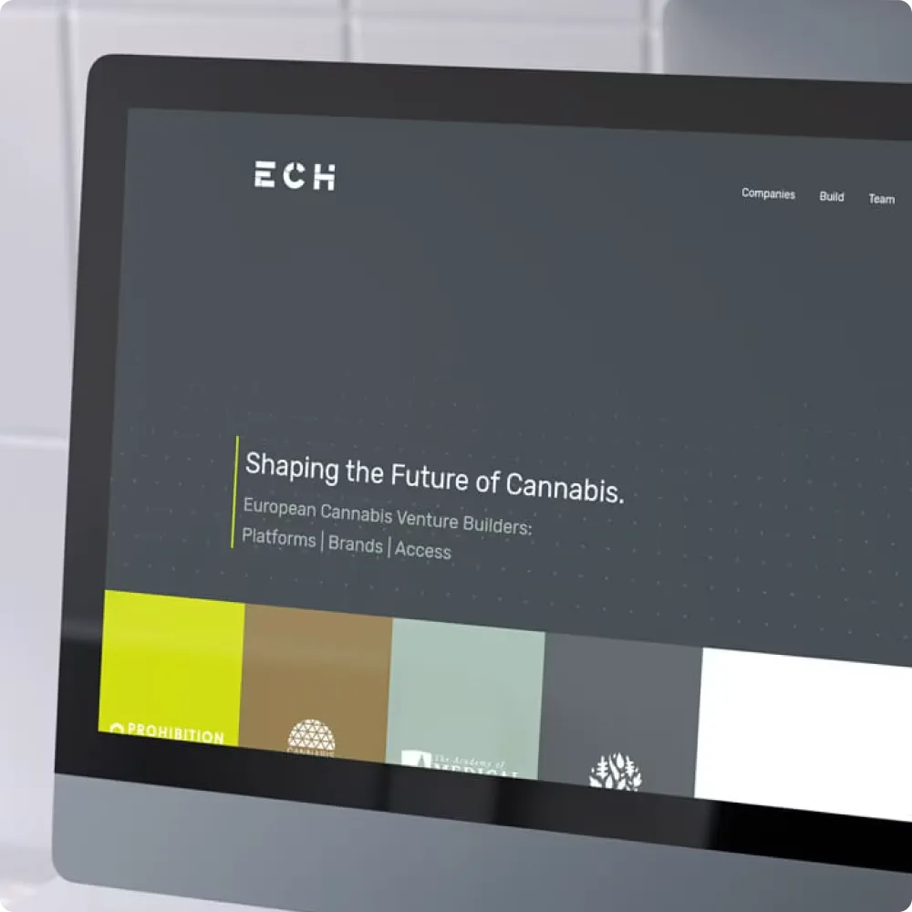 ech web design