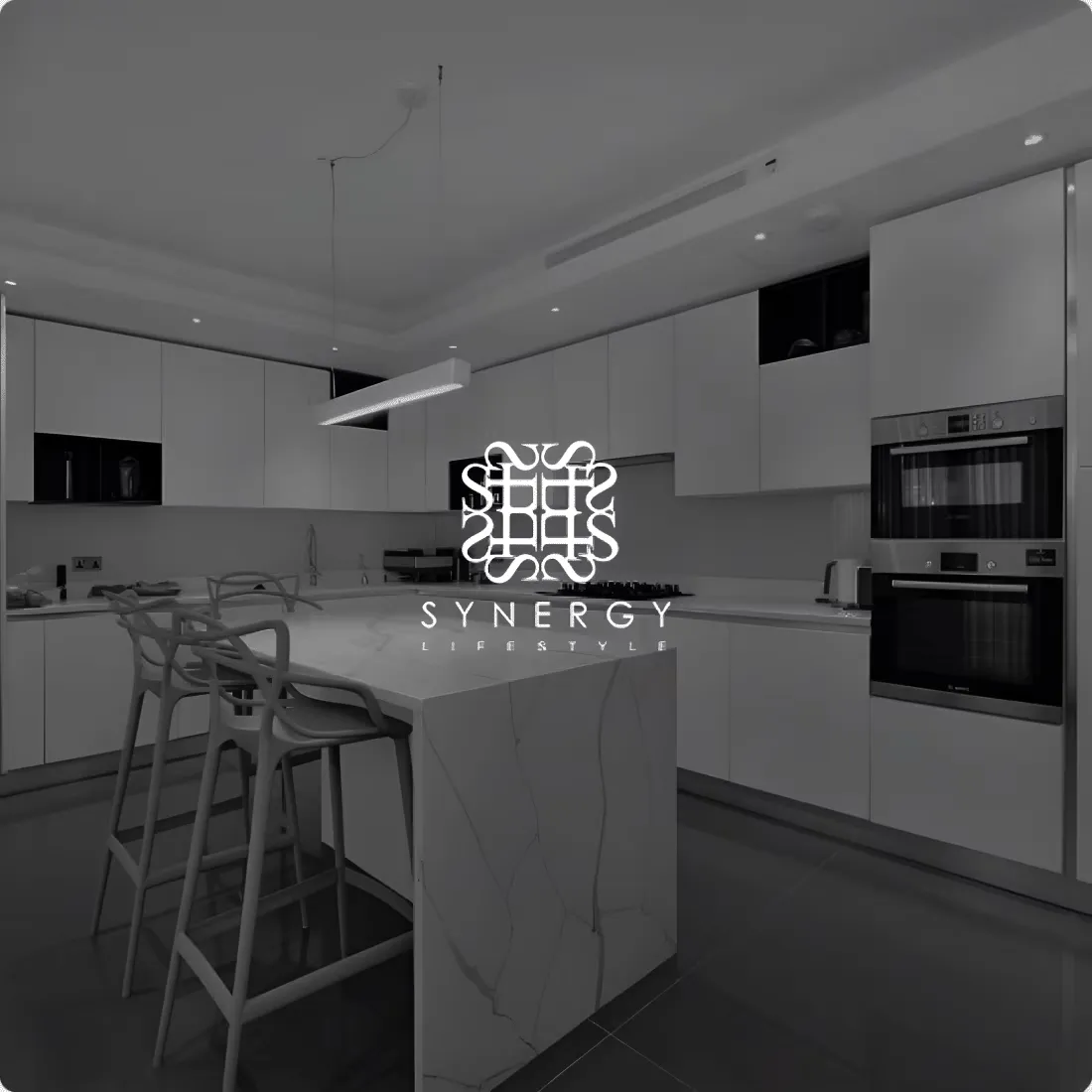 synergy lifestyle web design