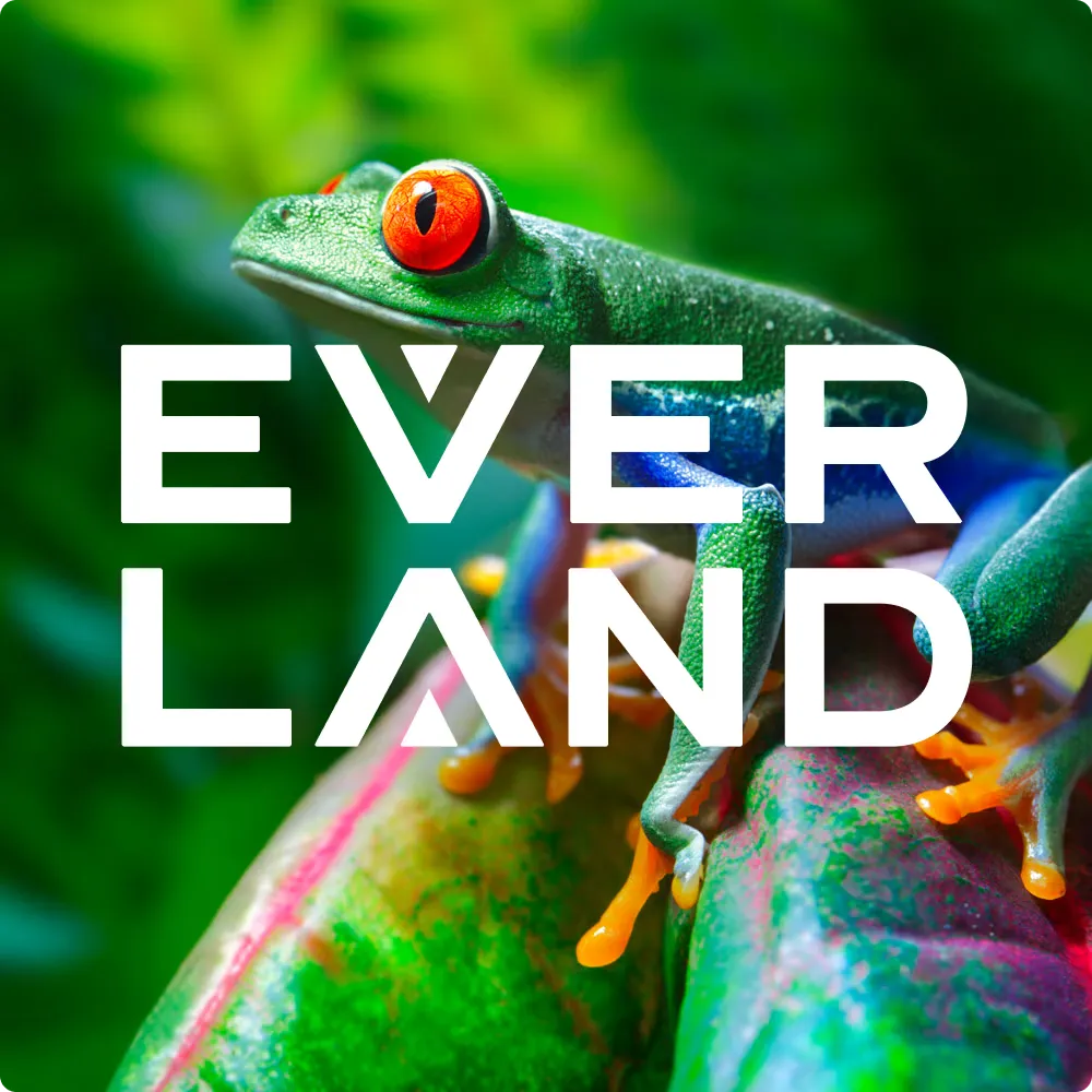 everland web design