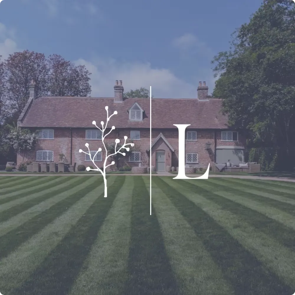 new forest website design